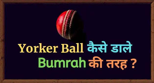 yorker ball kaise daale, how to yorker ball in hindi, यॉर्कर गेंद कैसे डाले, यॉर्कर गेंद कैसे डाले जाता है, Yorker Ball Kya Hoti Hai, yorker ball kaise dale in hindi, yorker ball in hindi, yorker ball king.